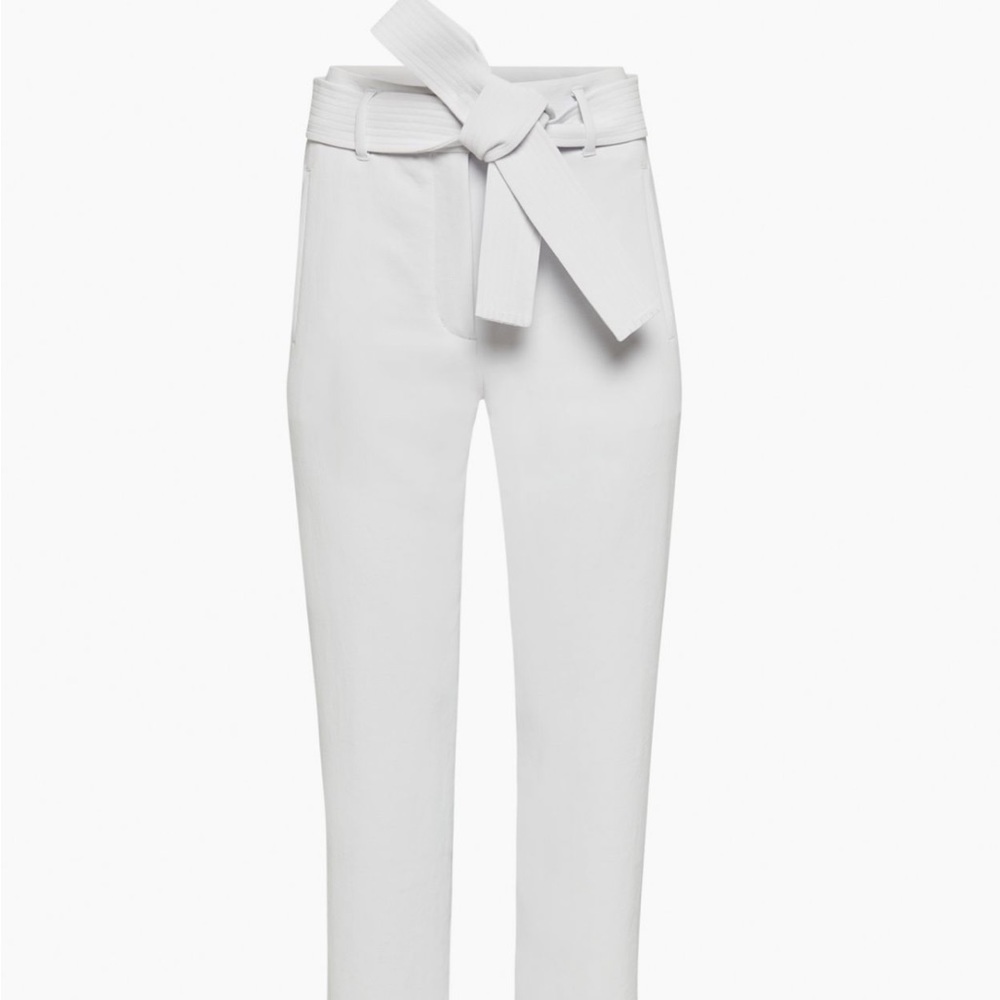 Light Blue Aritzia Pants
